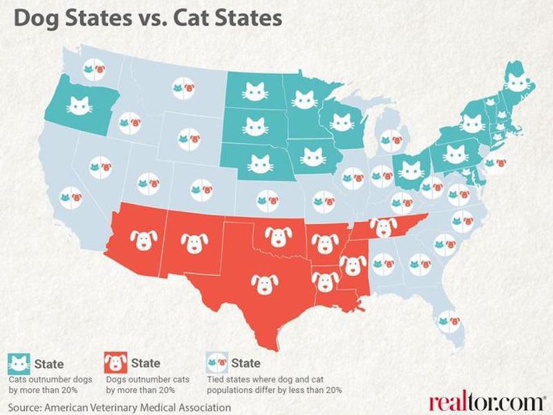 Are You Ready For Some (Maps About) Football? – Estately Blog