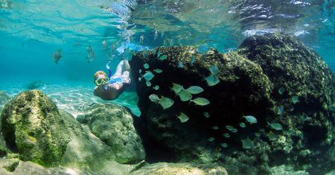 25 Best Snorkeling Spots In The World | Far & Wide