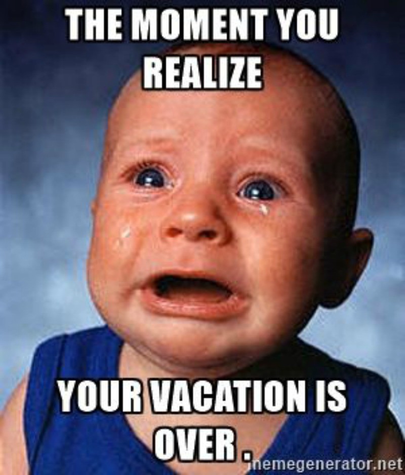 17++ Funny Memes After Vacation - Factory Memes